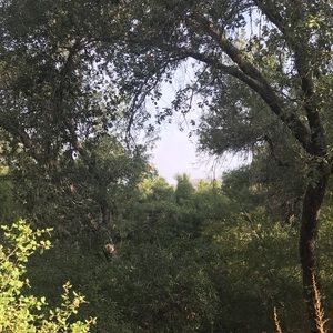 Meet your Posher, Jeanne